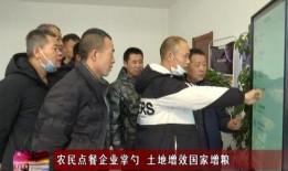 绥化爆料最新消息新闻,聚焦重大新闻事件深度解析